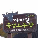 까미원 이미지