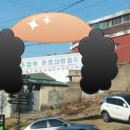 상록행정사 이미지