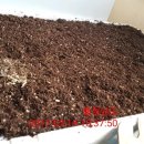 삼싹농장 이미지