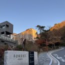 금봉로 | [가을 제천 여행] 11월 단풍 절정 시기 포레스트 리솜 리뷰 | 프라이빗 빌라형 S30 28평