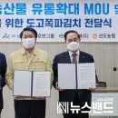 아산청과 이미지