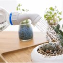 (봄맞이) 홈가드닝 이미지