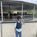 그해거제 이미지