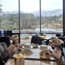 (강원도/고성) 켄싱턴리조트 설악밸리 로잔 후기, 부모님 가족여행 숙소로 추천