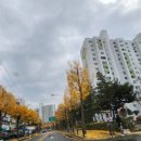 뚜리바 이미지