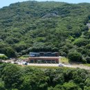 치유의숲 이미지