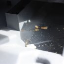 우리가사랑하는세탁소 이미지