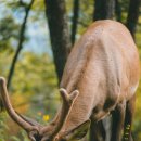청천한의원 이미지
