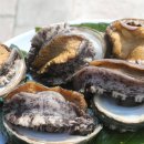 바다마을 이미지