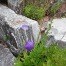 천보산자연휴양림캠핑장 이미지