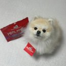 조이앤픽 | 강아지사료 강아지 동결건조사료 스텔라앤츄이스 밀믹서 99g 터키 급여후기