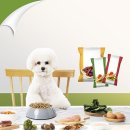 토비동물병원 이미지