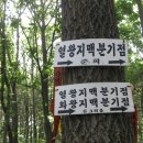 비슬공원 이미지