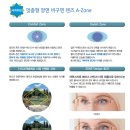 검도도장 성심관 | 이유를 알 수 없는 흐림 현상과 눈의 피로 알고 보니 수직 사위가 원인이었습니다.