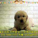 오케이주점