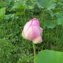 송정동-19 이미지