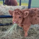 땡큐2운동화손빨래방 | 당근에서 산 이케아 엑토르프 소파.. 셀프 빨래방에서 세탁하기