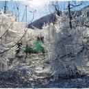 자연과사람들 이미지