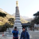 솔방1 이미지