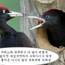 새살림 - 강북구 삼양로123길 31 | 새살림