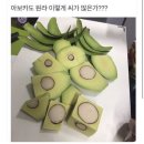 불치목장 | 얌전하게 살아본 8월 2주차 일상