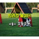 (주) 한국어질리티연합(카페어질리티) | 서울시 강동구 반려견 놀이터, 애견 놀이터, 동물복지 활동 소개