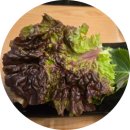 대학관 | 영통역 닭갈비 맛집 오늘도 닭갈비 영통경희대점｜늦은 점심 닭갈비+볶음밥 제대로 먹은 후기