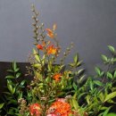 농협하나로마트 용호점 이미지