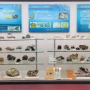 지질박물관 이미지