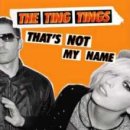 팅팅스(ting tings)