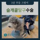 대치서울메디컬 이미지