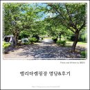벨리타 캠핑장 | [제주 벚꽃캠핑장][벨리타캠핑장] 후기 및 명당소개