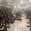 더바디짐 이미지