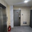 완도읍-10 이미지