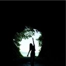 칠천도편백숲 이미지