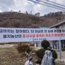 웅지농장 이미지