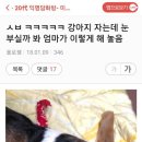 야 이미지