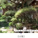 수원-1114 이미지