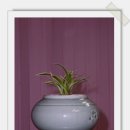 작은친구 이미지