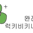 스테이배 이미지