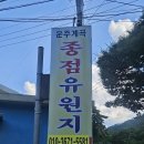 종점민박 | 전주 • 대전 근교 계곡 ⛰️ “ 운주종점유원지 (종점민박) ”