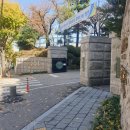 상고앞분식 네이버블로그