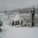 서림농원 이미지