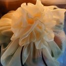 이천청과 이미지