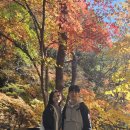 도궁초등학교 | 경기도 광주 화담숲 근처 애견동반 식당 맛집 곤지암 복가밥상 본점 방문후기