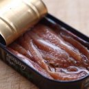 안쵸비(Anchovy) 이미지