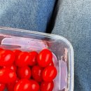 고란약수 | 국내여행 당일치기 부여 낙화암 유람선 정보 고산약수 유래