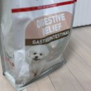 유한회사 형석로얄 | 휴지 5살 강아지의 유한양행 레시피브이 로얄 미니 다이제스티브 소화기능 사료 솔직 리뷰