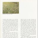 이인하 카카오 검색결과