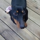 시크당구장 이미지